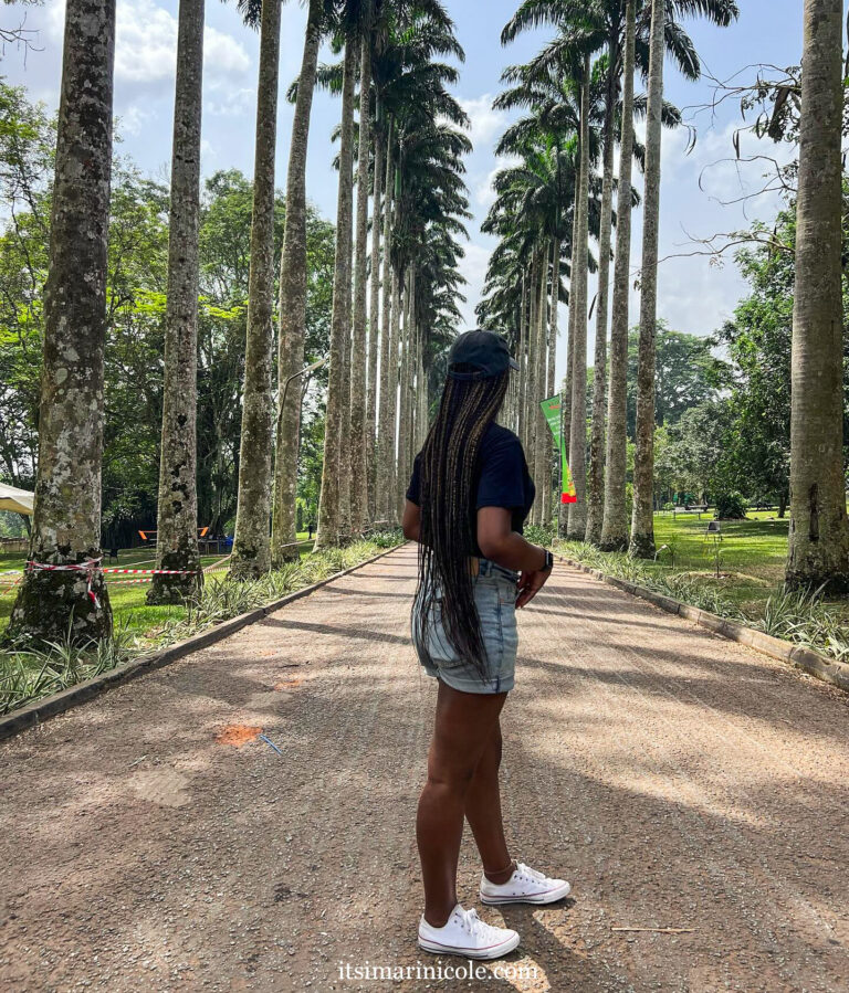 Weekend travel to Aburi Botanical Gardens, capture the famous Palm Trees